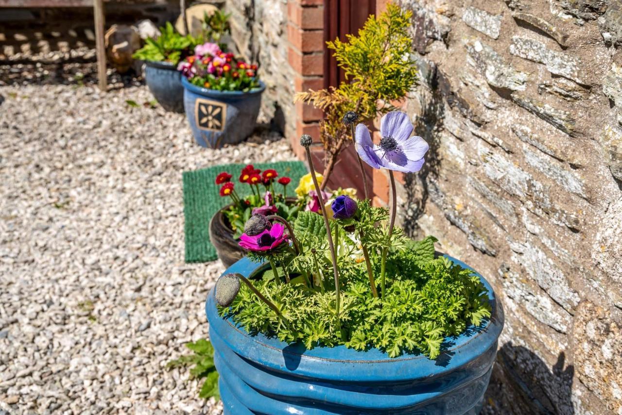 Polrunny Farm Blackberry Cottage - Cornwall Bliss In Sight Of The Sea Боскасъл Екстериор снимка