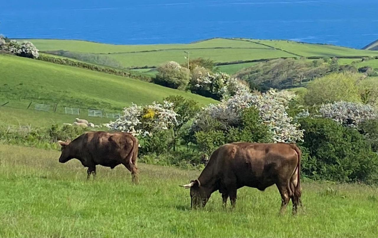 Polrunny Farm Blackberry Cottage - Cornwall Bliss In Sight Of The Sea Боскасъл Екстериор снимка