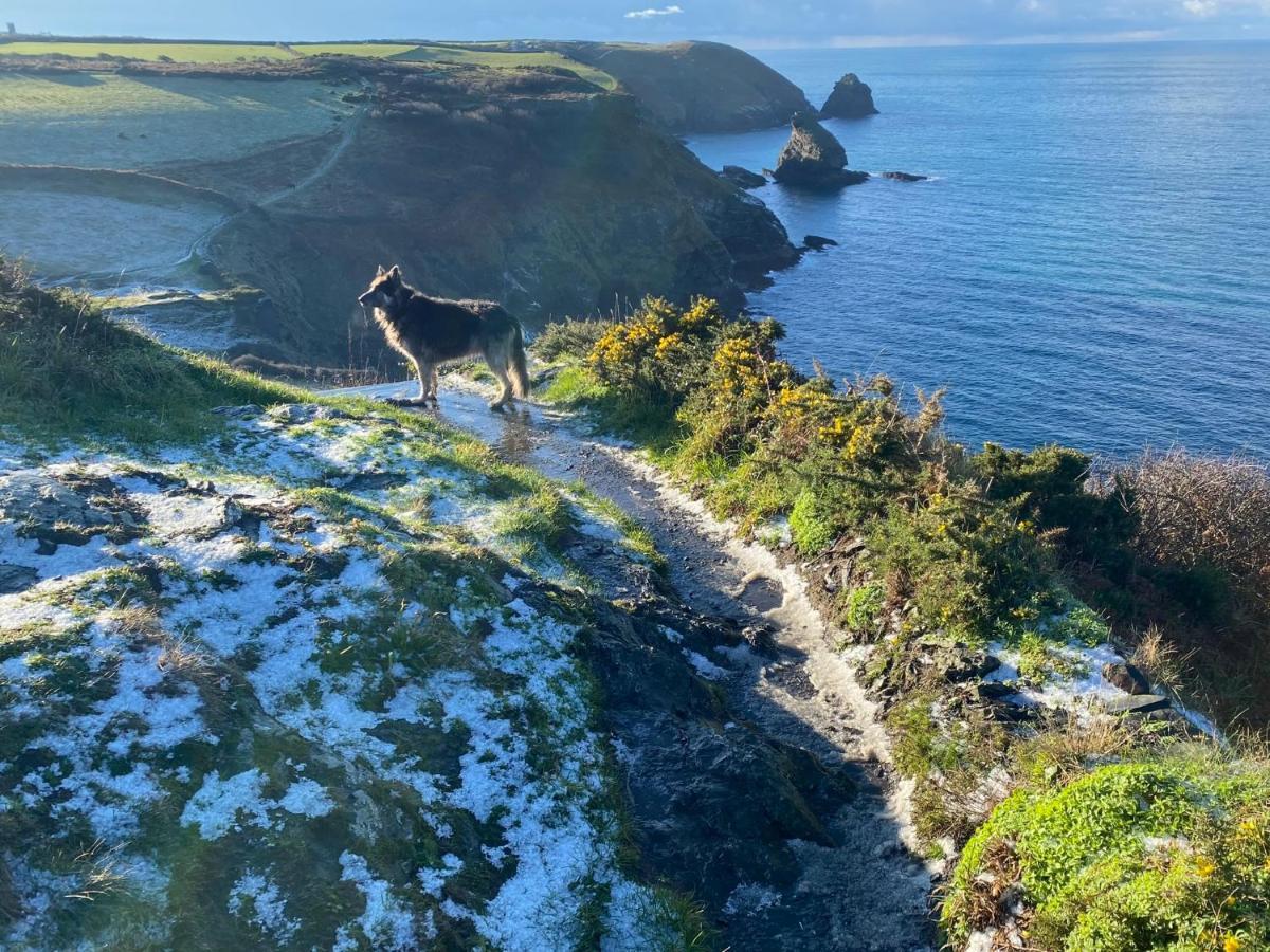 Polrunny Farm Blackberry Cottage - Cornwall Bliss In Sight Of The Sea Боскасъл Екстериор снимка
