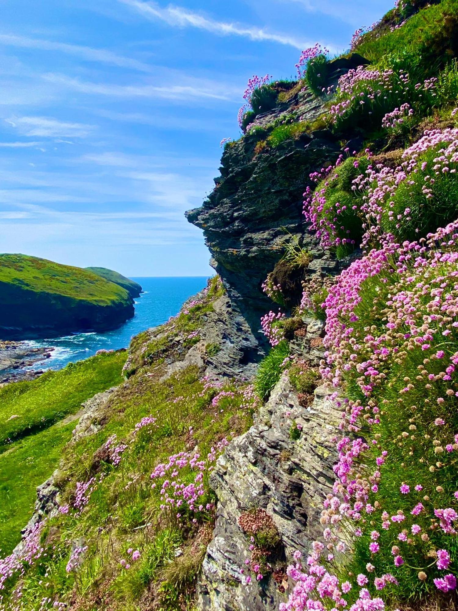 Polrunny Farm Blackberry Cottage - Cornwall Bliss In Sight Of The Sea Боскасъл Екстериор снимка
